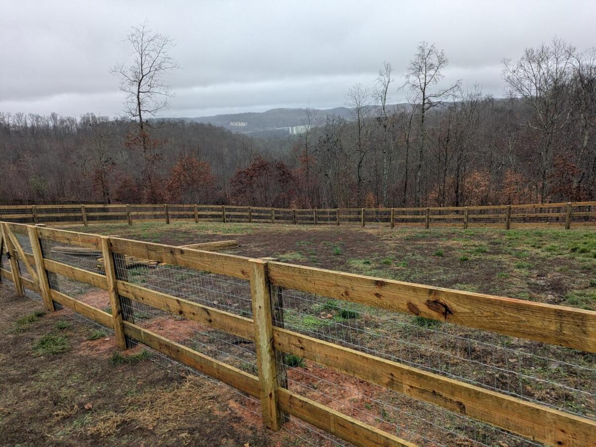 Great Little Guest Suite With Private Entry & Deck! Pet Friendly & 30 Mins To Nashville! Ashland City Exterior photo